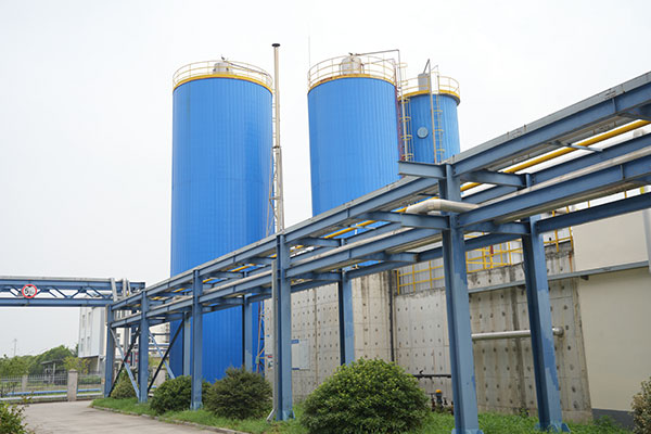 Předběžná léčba